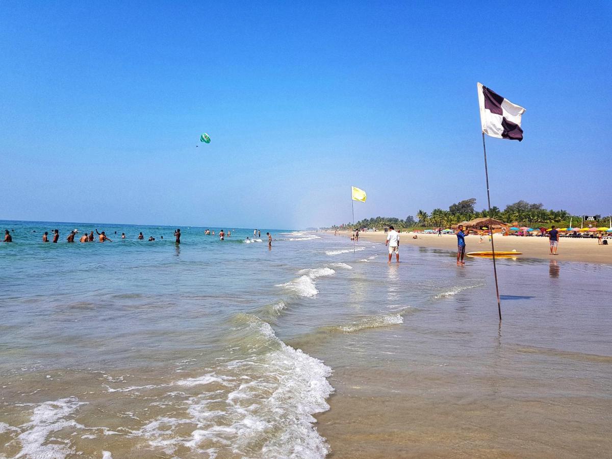 Rosewood By The Goa