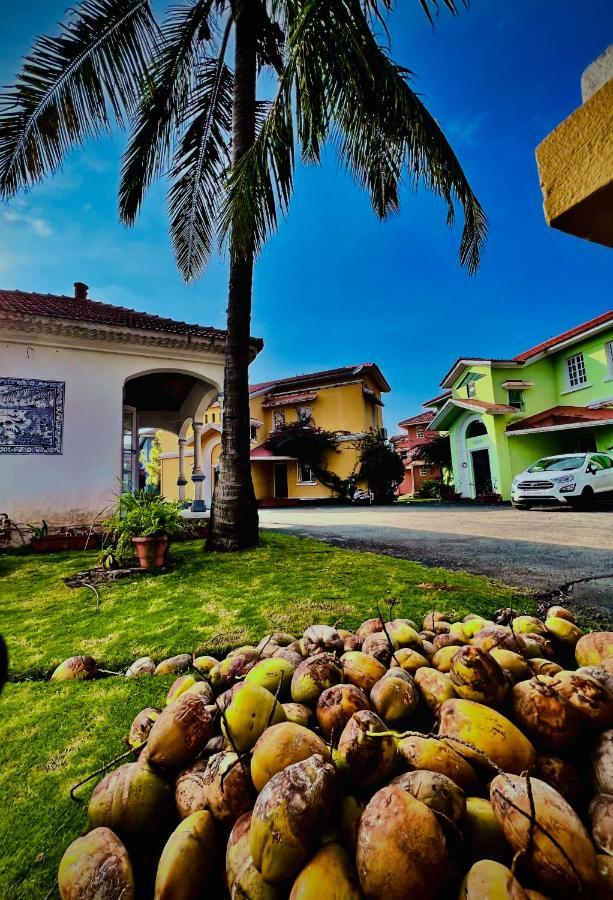 Rosewood By The Goa *